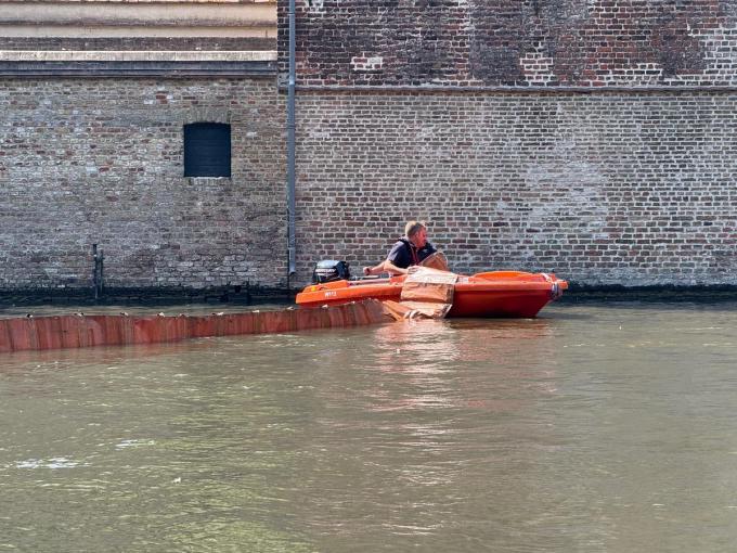 De Brugse brandweer legde een dam aan en zorgde zo voor een afgebakende zone waar de zwanen veilig kunnen zwemmen.