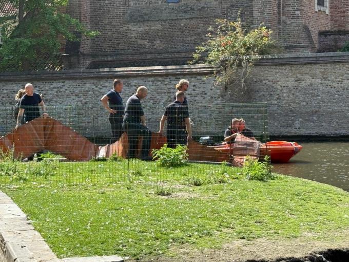 De Brugse brandweer legde een dam aan en zorgde zo voor een afgebakende zone waar de zwanen veilig kunnen zwemmen.