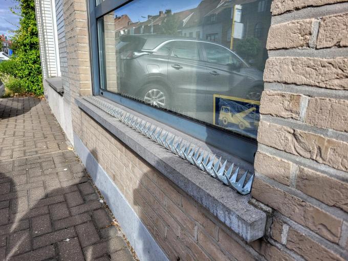 Emmanuel plaatste pinnen op zijn vensterbank om overlast te voorkomen.