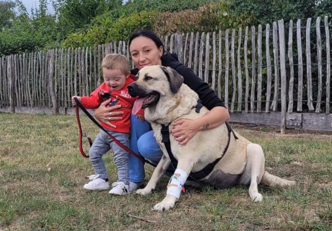 De hond Ona met bazin Nikita en zoontje Quinn.