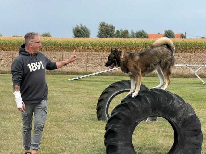 Lorenzo Hoorelbeke (51) is een vrijwilliger die de hondenlosloopweide mee uit de grond stampte.