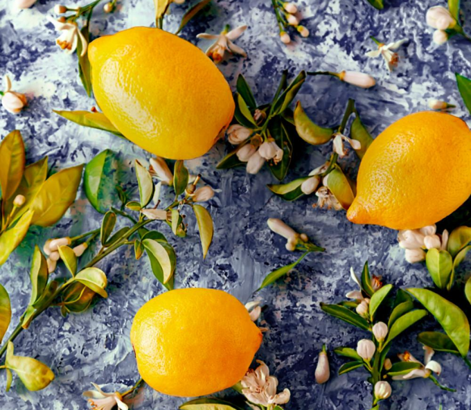 recettes citron