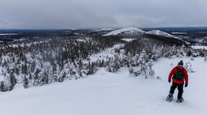 Een 360°-vergezicht op de top van de Valtavaara Winter Trail, één van de meest iconische winterwandelingen van de ruime regio. (foto tvdb)