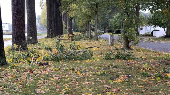 Ook elders lagen takken in het rond.