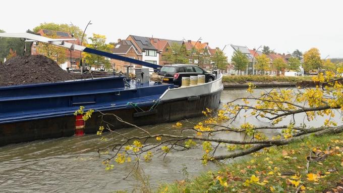 De kruin van een boom kwam in het Kanaal Gent-Brugge terecht.