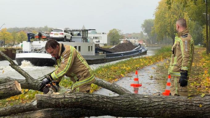 De brandweer diende de boom te verzagen.