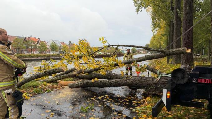 De brandweer diende de boom te verzagen.