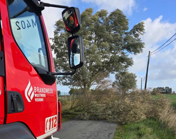 In de Booitshoekestraat in Veurne was de weg versperd door een omgevallen boom. Brandweer post Veurne kwam ter plaatse.