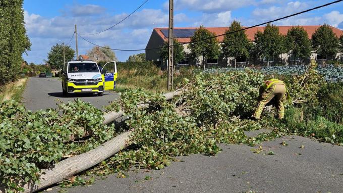 In Werken belandde een boom op de weg.