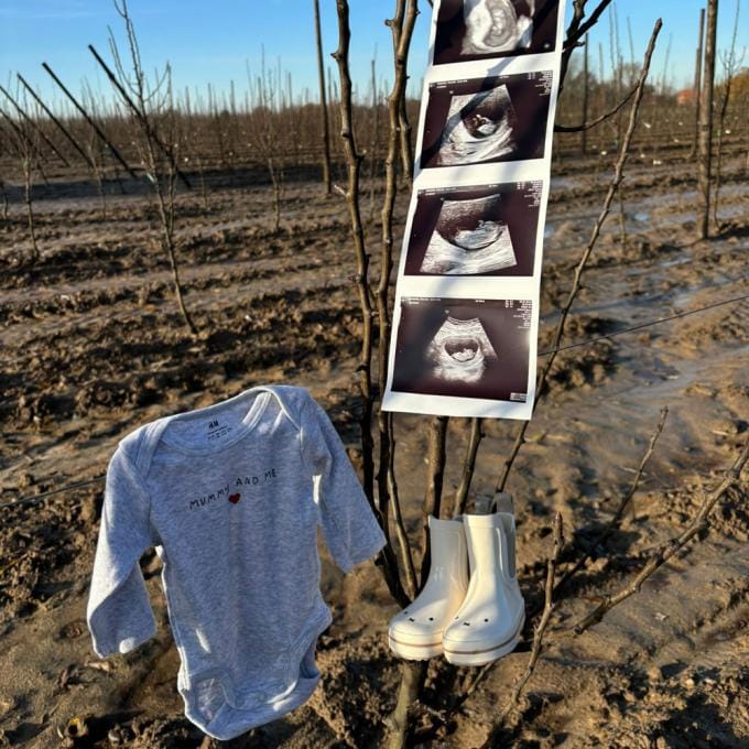 Zwangerschapsaankondiging