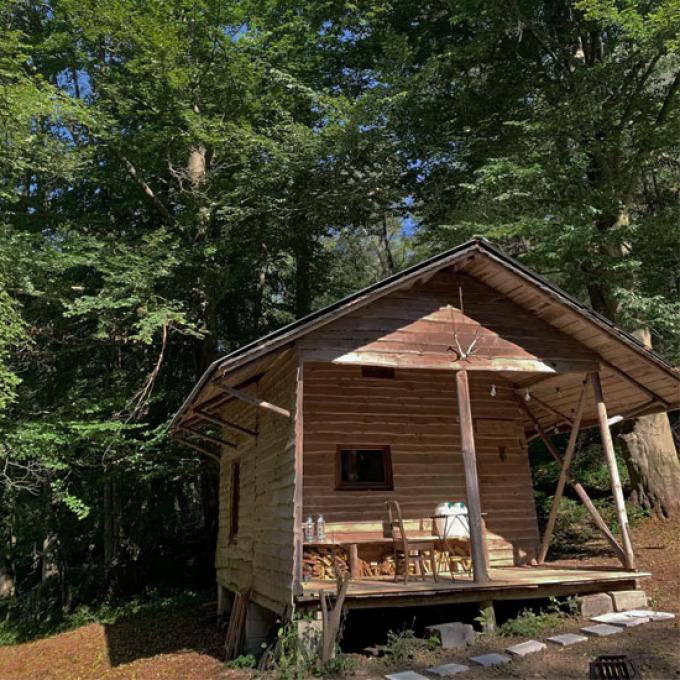 Cabin in the woods in Comblain-au-Pont