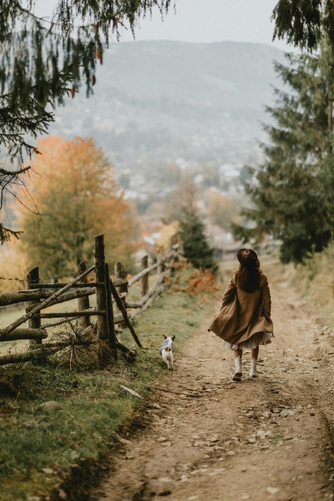 Que faire en Belgique durant les vacances d'automne ? - Unsplash (Oksana Zub)