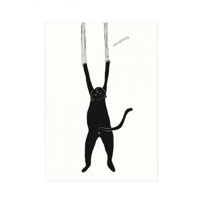 Poster vallende kat