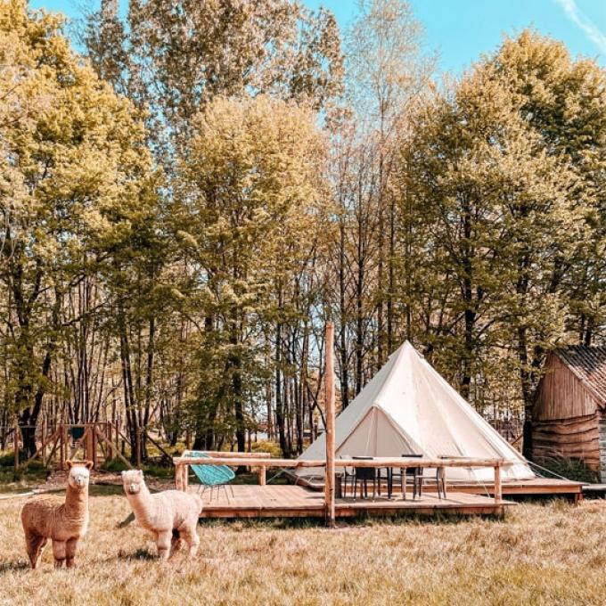 Ark van Noë in Lichtaart