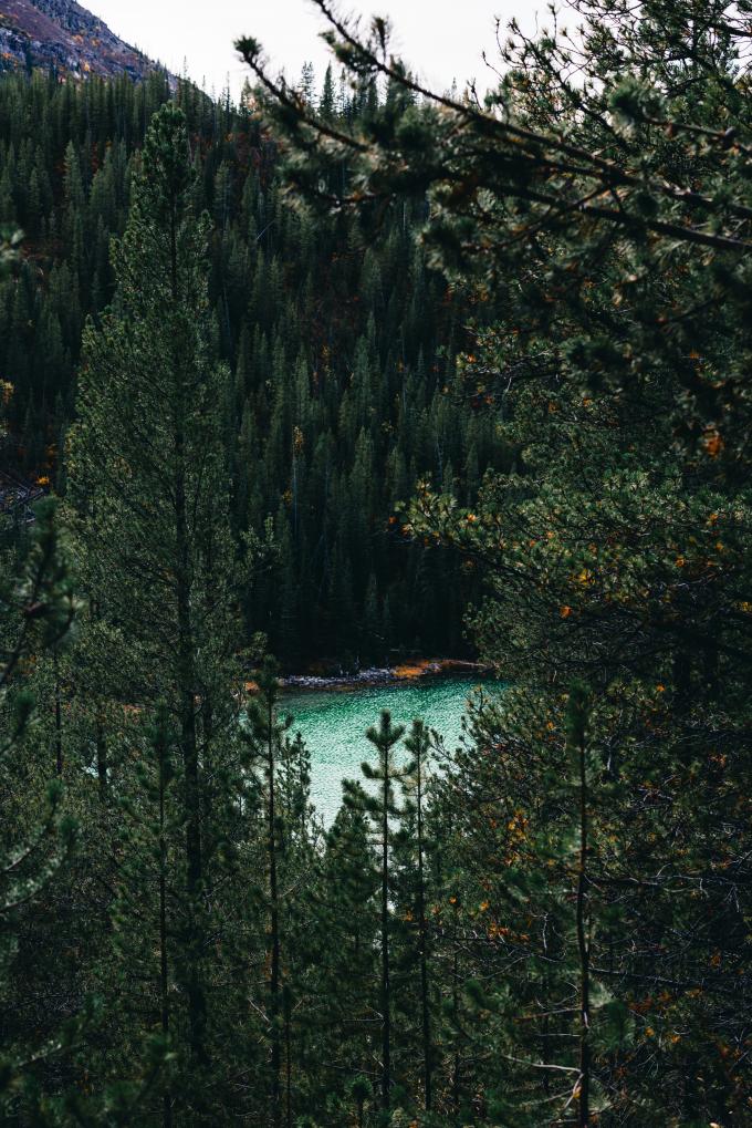 locations avec piscine privée en ardenne