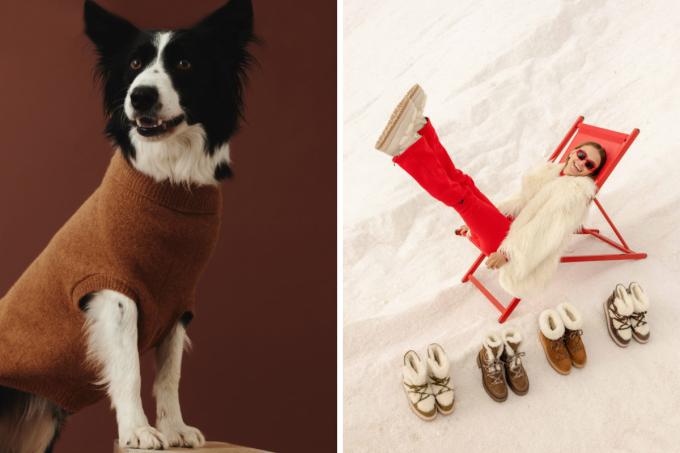 Des vêtements pour chiens? OK mais stylés - DR H&M et Bobbies