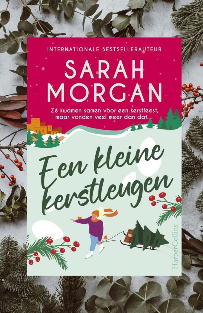 Een kleine kerstleugen