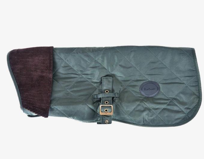 Dog walking-jasje voor de winter