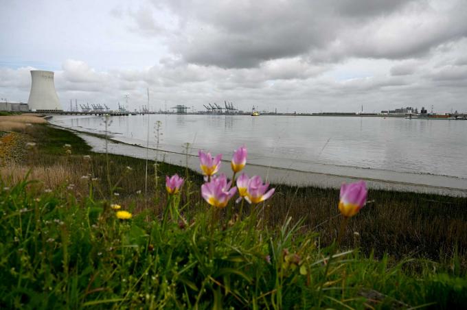 Olielek in haven van Antwerpen: ‘Elke druppel olie in de Schelde is er een te veel’