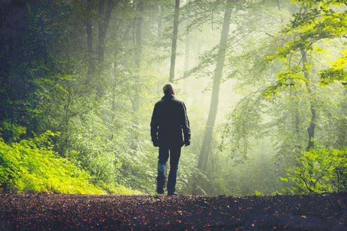 Eenzaam? Ga eens (alleen) wandelen in de natuur