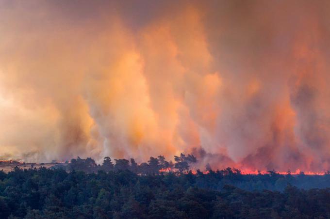 Heel Nederland op hoogste waarschuwingsniveau natuurbranden