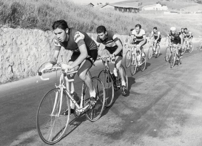 De Giro’s van Eddy Merckx: hoe de Kannibaal vijf keer de Ronde van Italië won