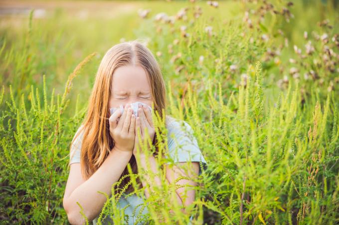 Graspollenseizoen duurt langer door klimaatverandering: ‘Pollen worden ook agressiever’