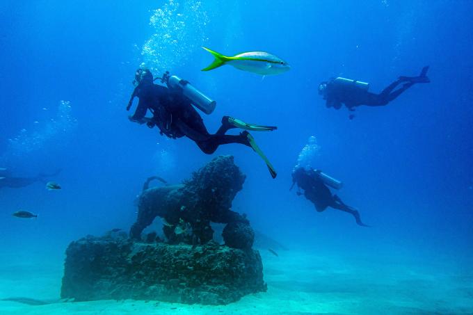 Le Neptune Memorial Reef, cimetière sous-marin utile a la faune aquatique