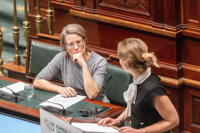 ‘Leve de boze ambtenaren, leve de slimme juristen: zij bewijzen dat de rechtsstaat niet dood is’