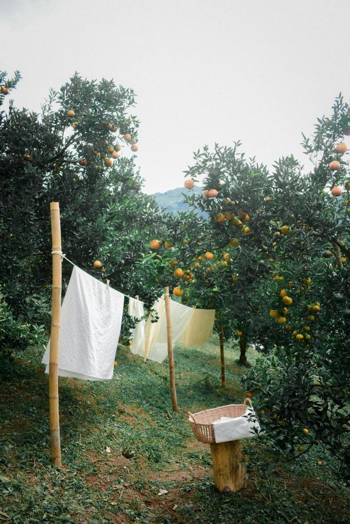 parfumeur de lessive