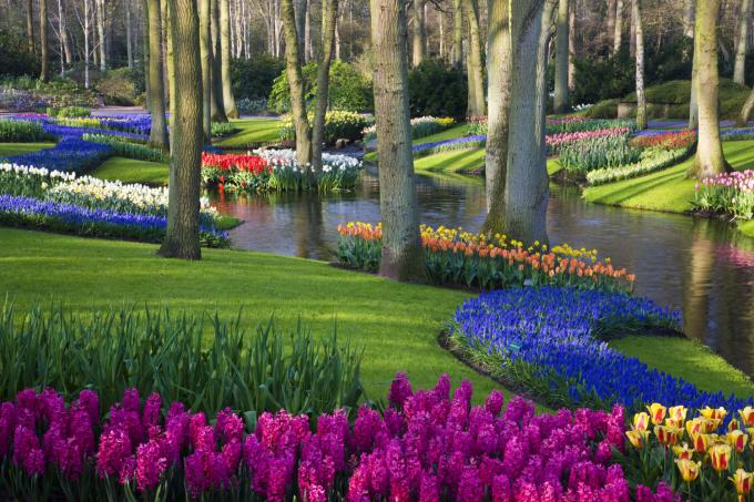 Keukenhof