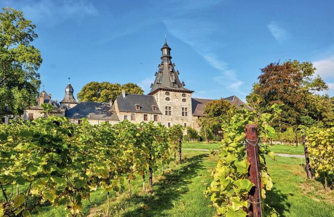 Château de Bioul en Belgique