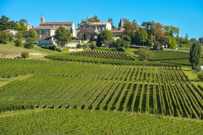 Vignes de Saint Emilion