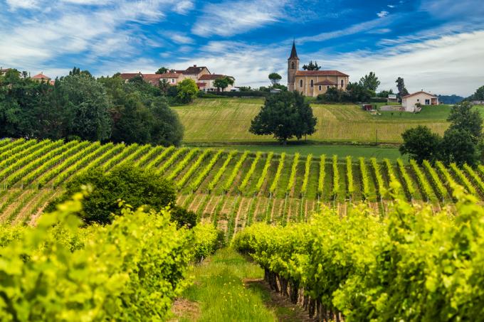 vignoble bordeaux surproduction destruction