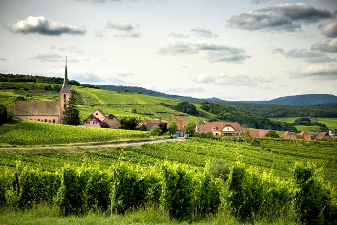 route des vins alsace