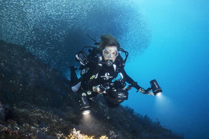 Sylvia Earle, l’espoir des océans, s’engage à préserver les océans et les Hope Spots