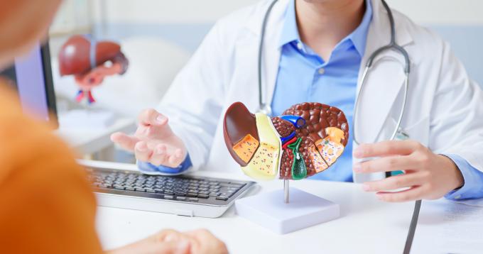 Close-up Aziatische arts legt de gezondheidstoestand van de lever uit met behulp van een 3D-anatomiemodel in een gastroenterologiekliniek