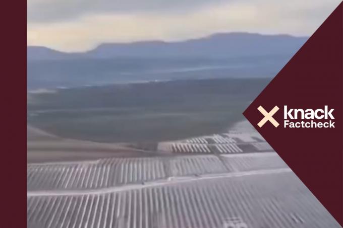 Factcheck: in Spanje worden meer dan 100.000 olijfbomen gekapt om zonnepanelen te plaatsen, maar het totale aantal bomen blijft stijgen