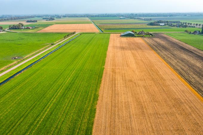 Glyfosaat is niet zo onschuldig als zijn producent beweert
