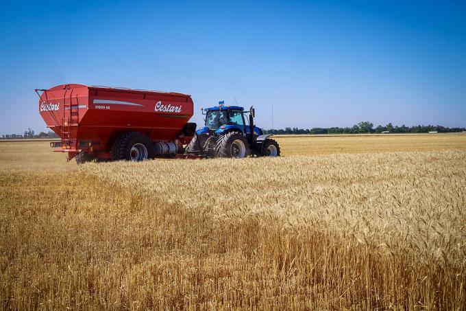 Moyen-Orient : quel impact sur les céréales, et comment miser sur ce marché ?