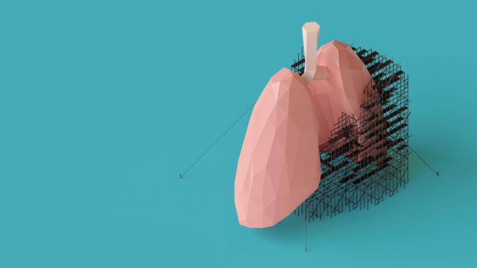 Les poumons se régénèrent-ils vraiment? Plusieurs 