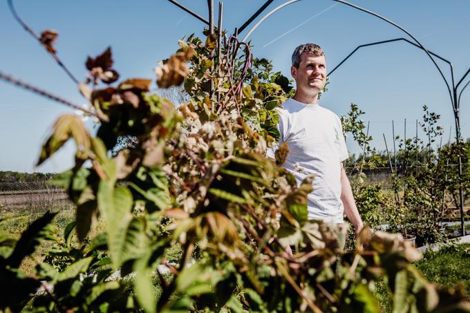 Markt en klimaat zijn de uitdagingen voor boomkweker Calle Plant: ‘Door de klimaatverandering zal de stress voor planten toenemen’