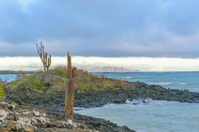 plage d'El Garrapatero.