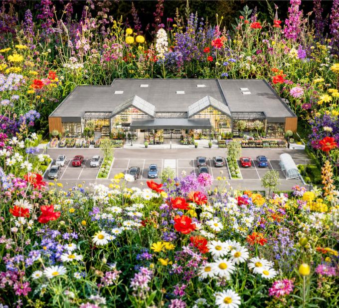 Werken tuincentra biodiversiteit tegen? ‘Ze zijn niet kwaadaardig, maar gazon verkoopt’