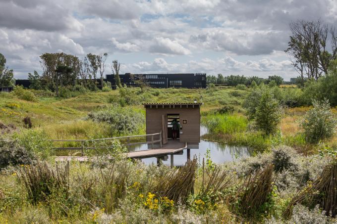 Cabane pour observer la faune et les oiseaux dans le Zwin