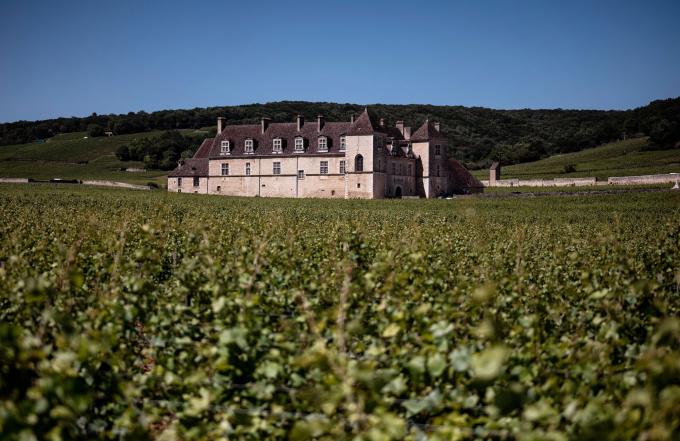 Clos de Vougeot