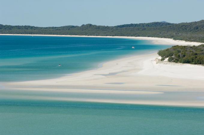 plage de Whitehaven Beach