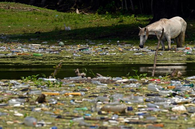 Réservoir de Cerron Grande à Potonico, au Salvador, le 9 septembre 2022. - Entraînés par différents affluents, d'immenses dépôts de plastique multicolores recouvrent comme une couverture les eaux calmes du lac Suchitlan au Salvador. Il en va de même sur les plages paradisiaques des Caraïbes honduriennes, qui reçoivent des milliers de tonnes de déchets en provenance du Guatemala.