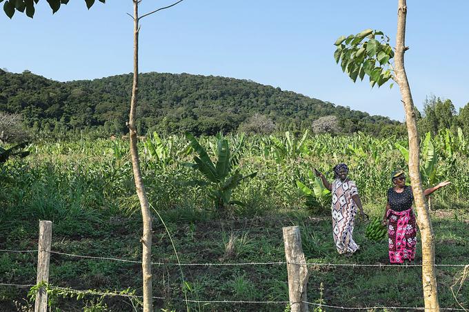 Heilige heuvel in Kenia wordt inzet van strijd om zeldzame aardmetalen