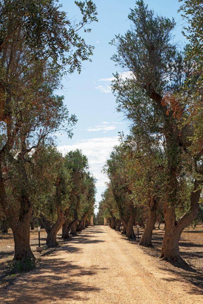 Masseria Partemio